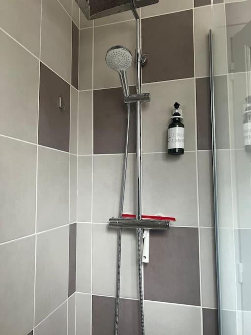 Appartement Proche Des Facs Lebon كليرمونت-فيراند المظهر الخارجي الصورة